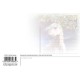 Horse Heaven Postcard