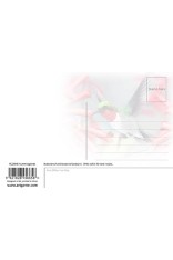 Hummingbirds Postcard
