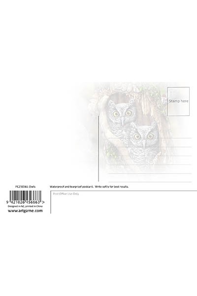 Owls Postcard