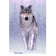 Snow Wolf Postcard