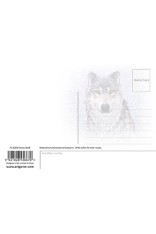 Snow Wolf Postcard