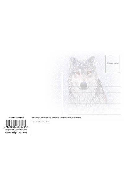 Snow Wolf Postcard
