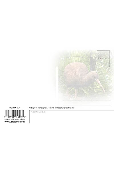 Kiwi Postcard