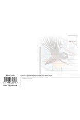 Fantails Postcard