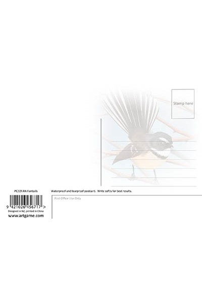 Fantails Postcard