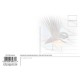 Fantails Postcard