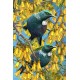 Tui Postcard