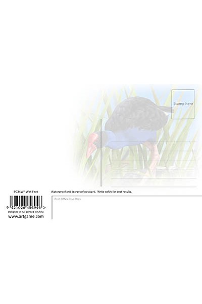 Wet Feet Postcard