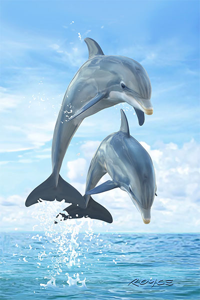 Dolphins Flip Postcard