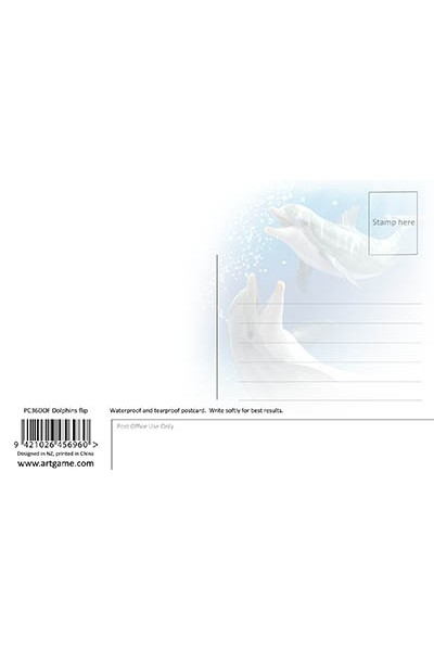 Dolphins Flip Postcard