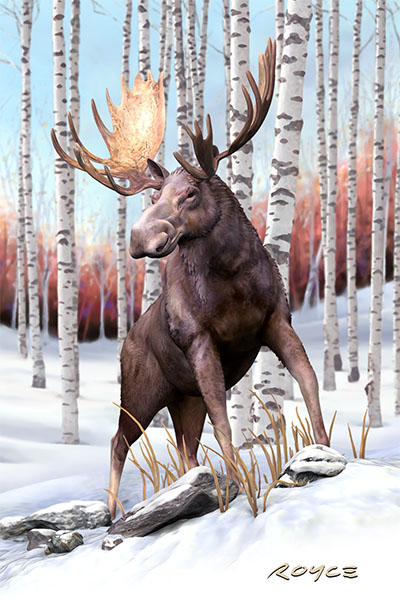 Wolf and Moose Flip Postcard
