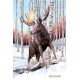 Wolf and Moose Flip Postcard