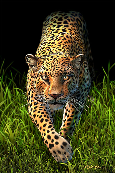 Big Cats Flip Postcard