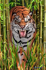 Big Cats Flip Postcard