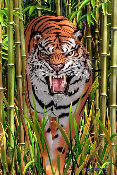 Big Cats Flip Postcard