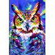 Owls Flip Postcard