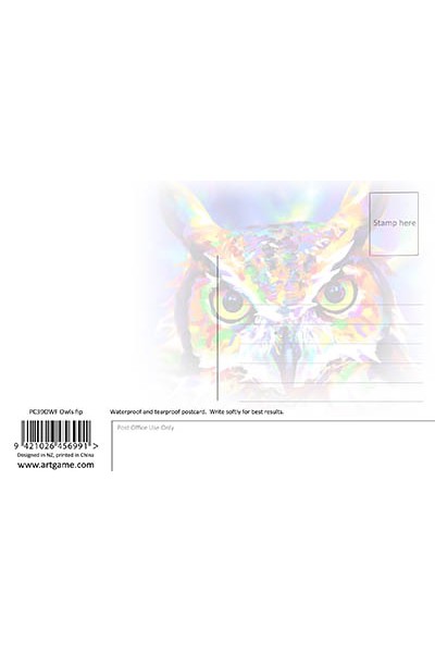 Owls Flip Postcard