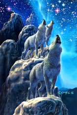 Wolves Flip Postcard