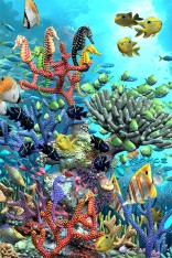 Coral Turtles Flip Postcard