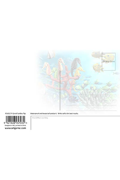 Coral Turtles Flip Postcard