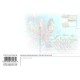 Coral Turtles Flip Postcard