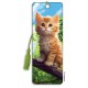 Artgame Bookmark - Summer Kitten