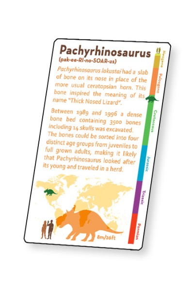 Dinosaur Fact Cards - Blue