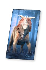 Dinosaur Fact Cards - Blue