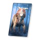 Dinosaur Fact Cards - Blue