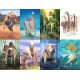 Dinosaur Fact Cards - Blue