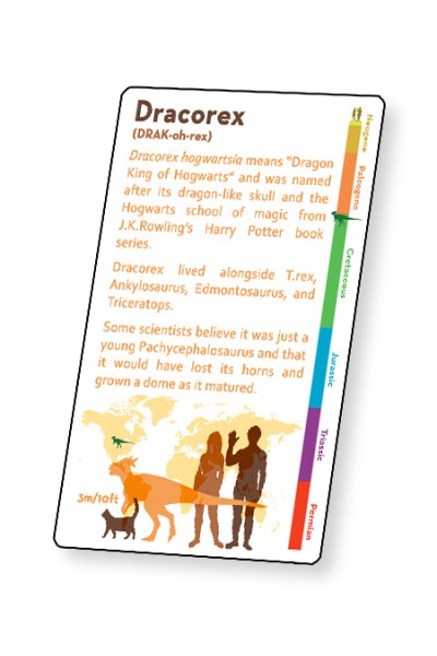 Dinosaur Fact Cards - Red