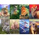 Dinosaur Fact Cards - Red