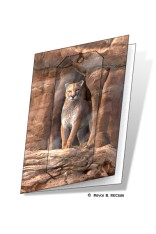 Cougar Gift Card