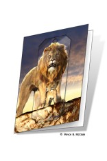 Lion Gift Card