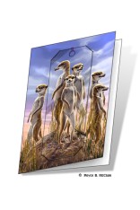 Meerkats Gift Card