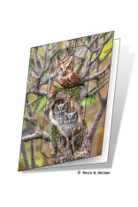 Owls Gift Card