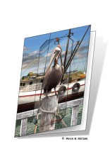 Pelican Gift Card