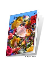 Roses Gift Card