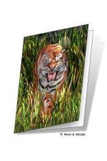 Tiger Trouble Gift Card