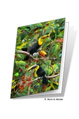 Toucans Gift Card