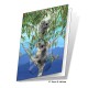 Koalas Gift Card