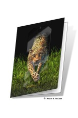 Leopard Gift Card