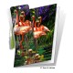 Flamingos Gift Card