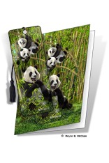 Pandas Gift Card