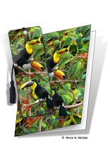 Toucans Gift Card