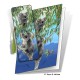 Koalas Gift Card