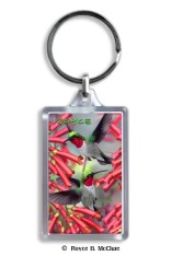 Hummingbirds Keyring