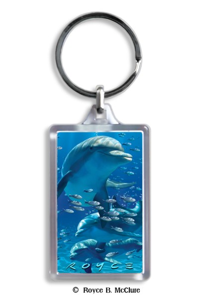 Dolphins Keyring
