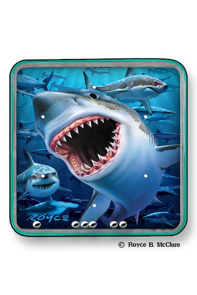Shark Magna-Ball Puzzle