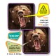 Grizzly Magna-Ball Puzzle